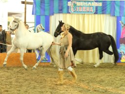 IMG_5187_web